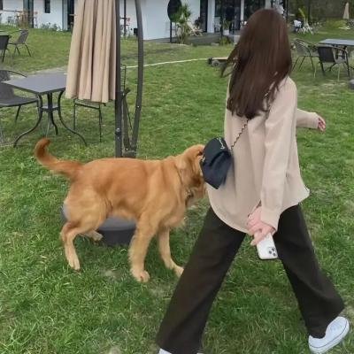 美妙魔法